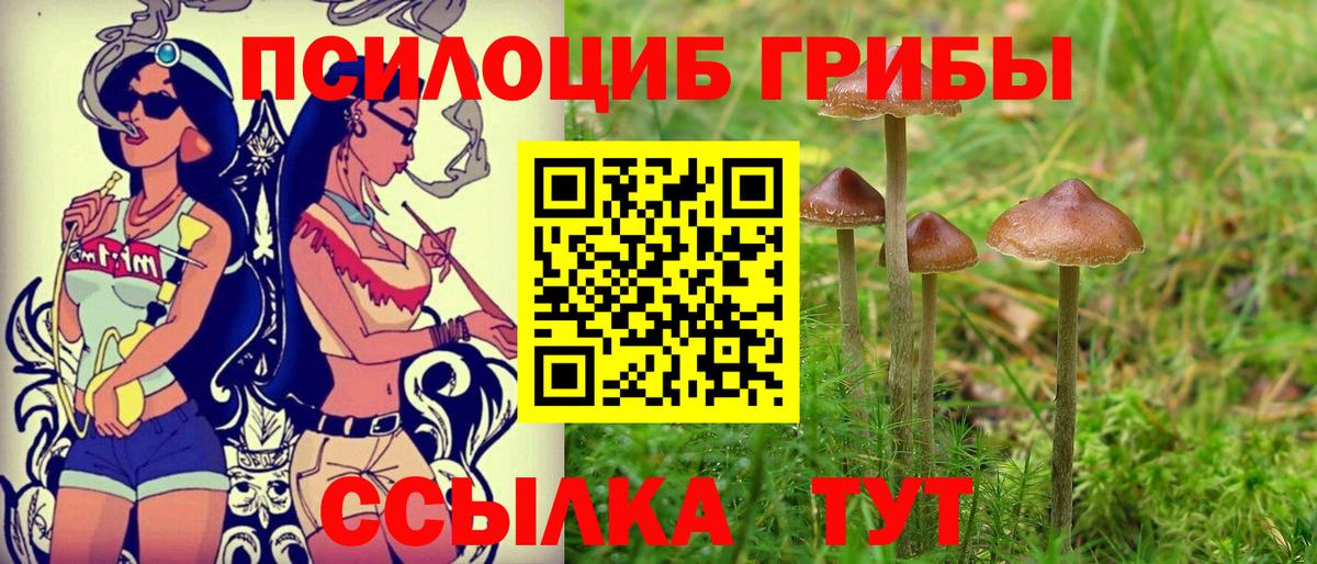 Псилоцибиновые грибы Psilocybe Лабытнанги